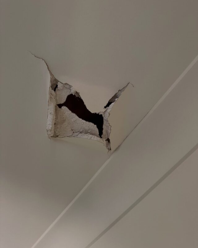 Emergency Roof Leak Repair Services North Brisbane