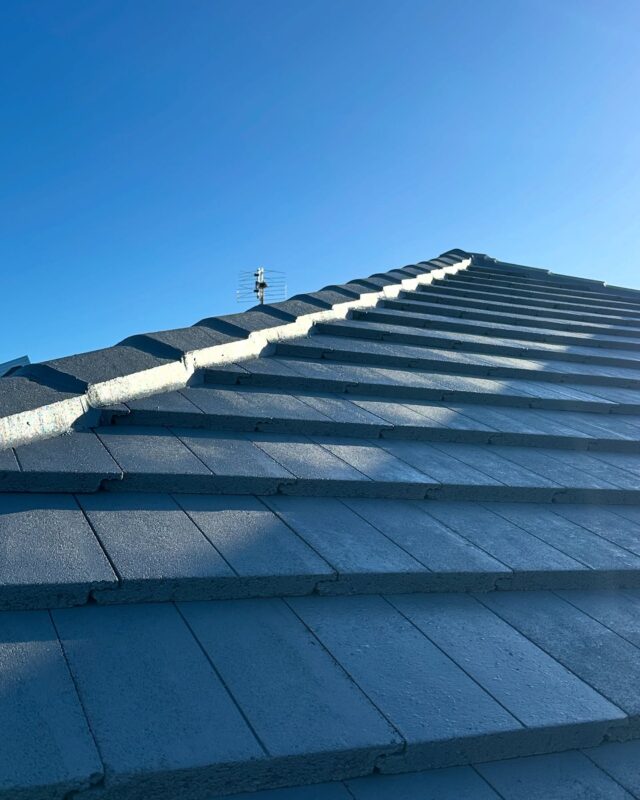 Cost Of Roof Painting West Brisbane