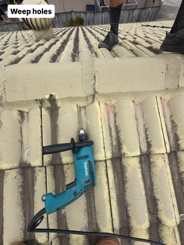 Licensed Roof Repair Contractors West Brisbane