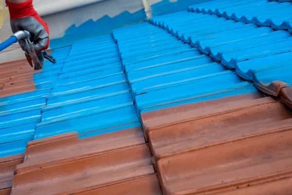 Best Roof Coating Options Gold Coast