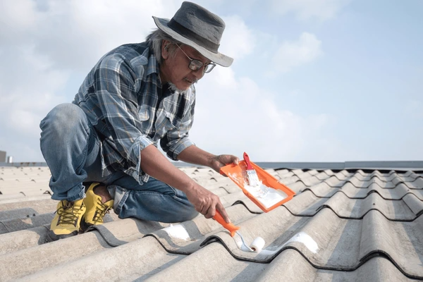 Roof Painting Services Brisbane